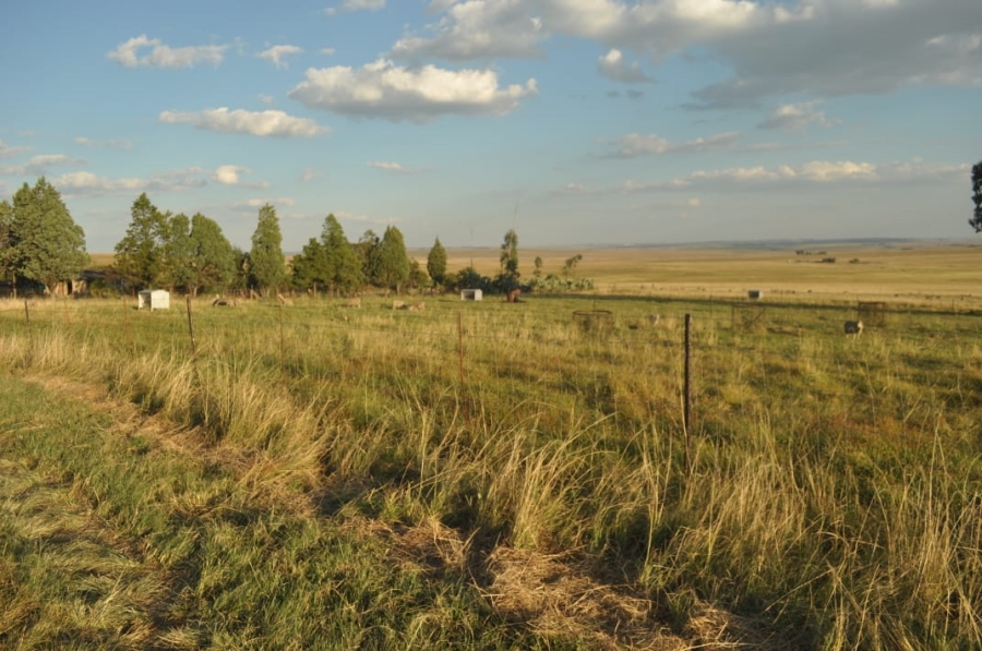 5 Bedroom Property for Sale in Reitz Rural Free State